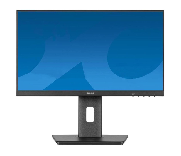 IIYAMA ProLite XUB2293HS-B6 - 1266570 - zdjęcie